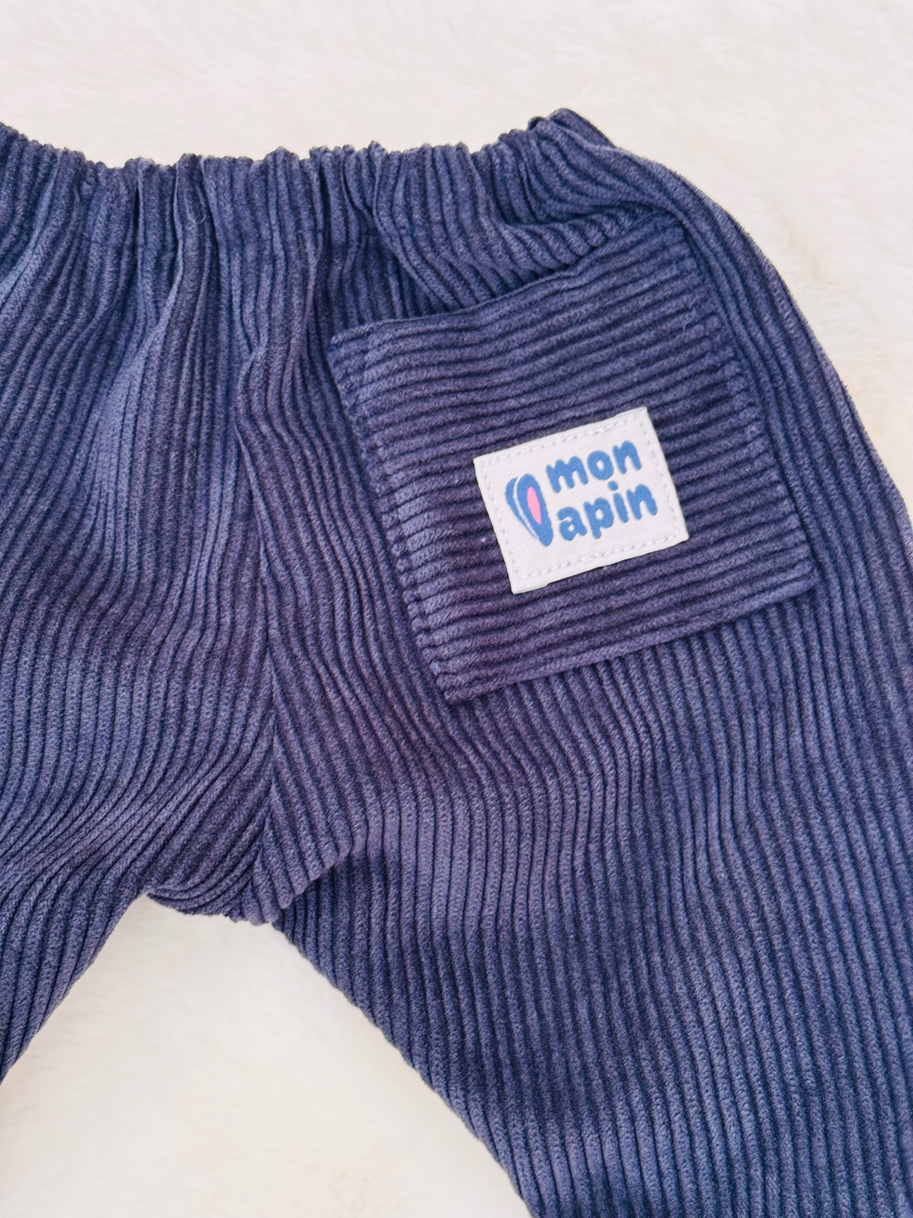 Pantalon Raphaël en velours
